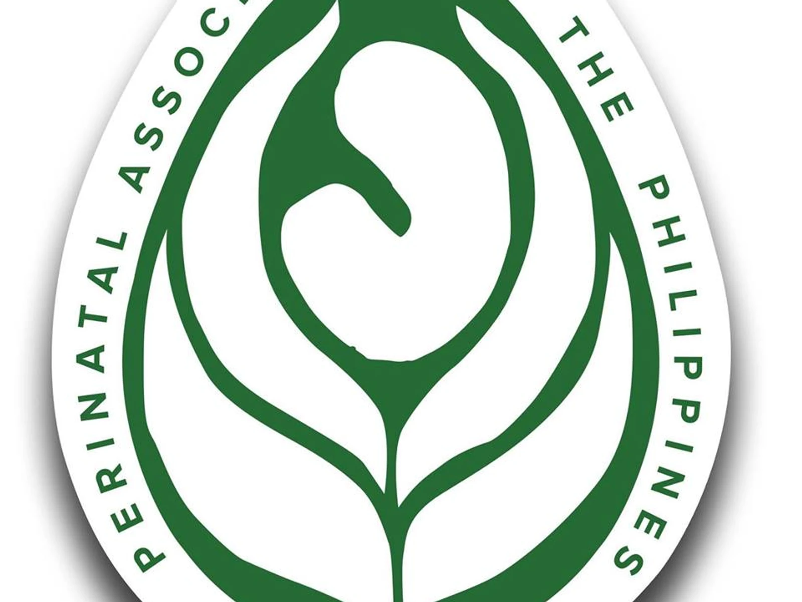 Kmc Foundation Partners With The Perinatal Association Of The Philippines 